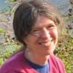 Interdisciplinary insights into the experiences of Polish nationals who migrate to the UK: meeting with Professor Anne White, UCL, 25 January 2016