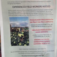 'Why would I bother claiming benefits? It’s quicker for me to just get a job.'