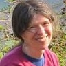 Interdisciplinary insights into the experiences of Polish nationals who migrate to the UK: meeting with Professor Anne White, UCL, 25 January 2016