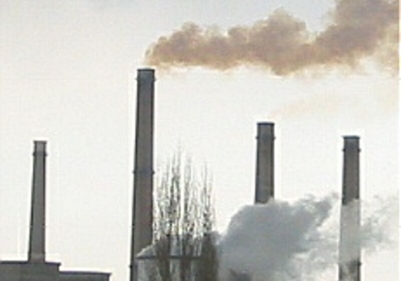 'If migrants are not coming to work very hard there will be no money for benefits'