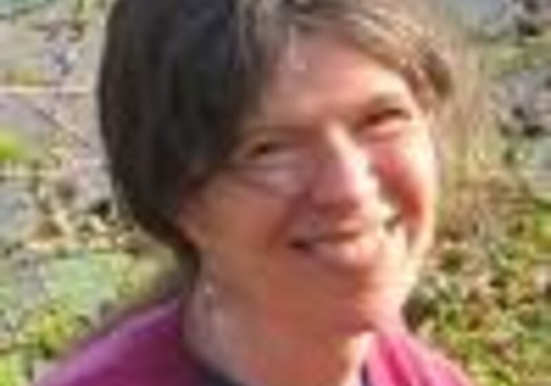 Interdisciplinary insights into the experiences of Polish nationals who migrate to the UK: meeting with Professor Anne White, UCL, 25 January 2016