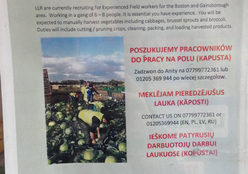 'Why would I bother claiming benefits? It’s quicker for me to just get a job.'